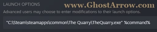 The Quarry Steam Launch Options