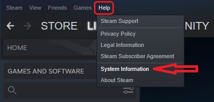 Steam System Information
