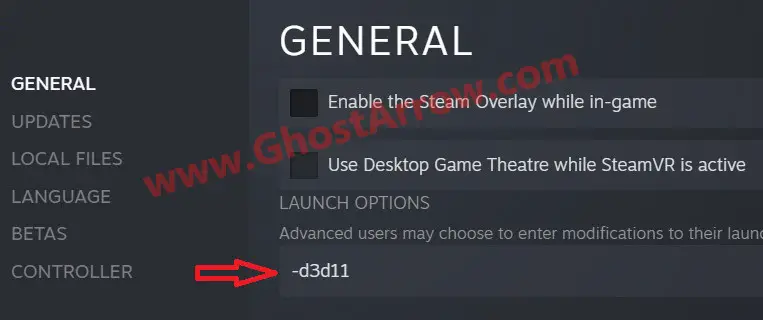 Steam Launch Options d3d11