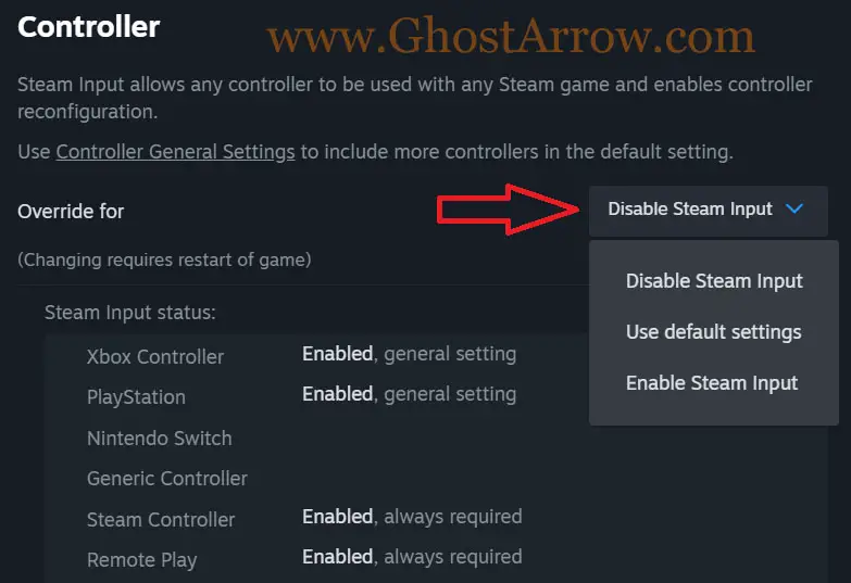 Disable Enable Steam Input
